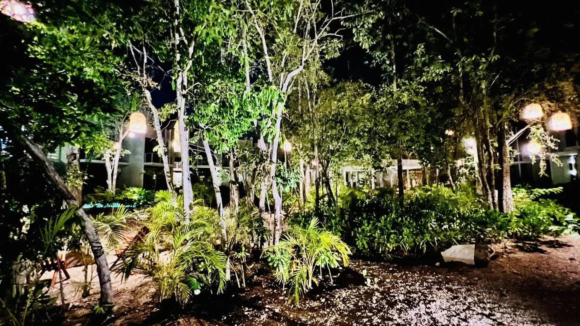 407 Seremonia Selva Private Pool New Apartment King Bed Wifi Tulum